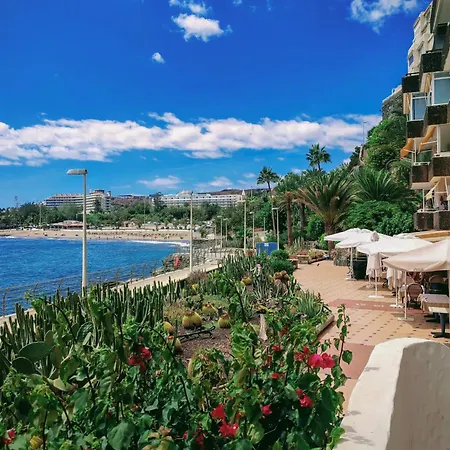 Daire Ocean Maspalomas San Agustín